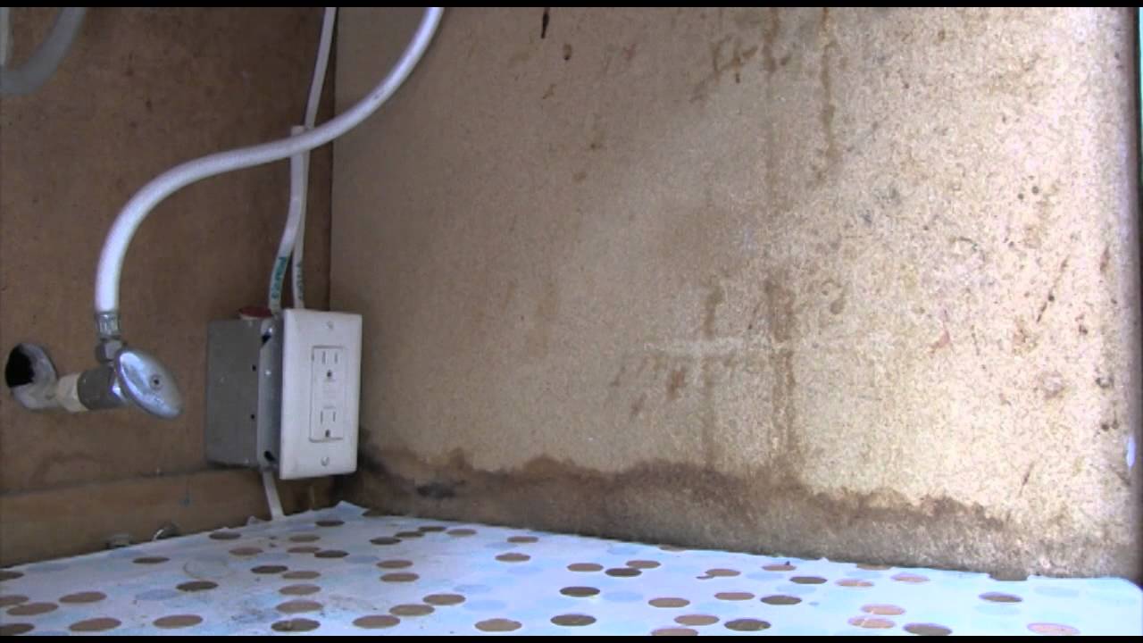 Cockroach Prevention and Control