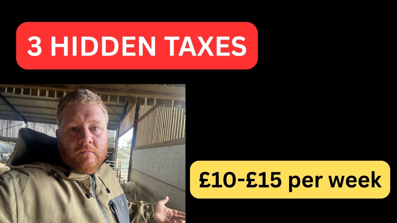 3 Hidden Government Taxes Adding &pound;10-15 to Your Weekly Shop