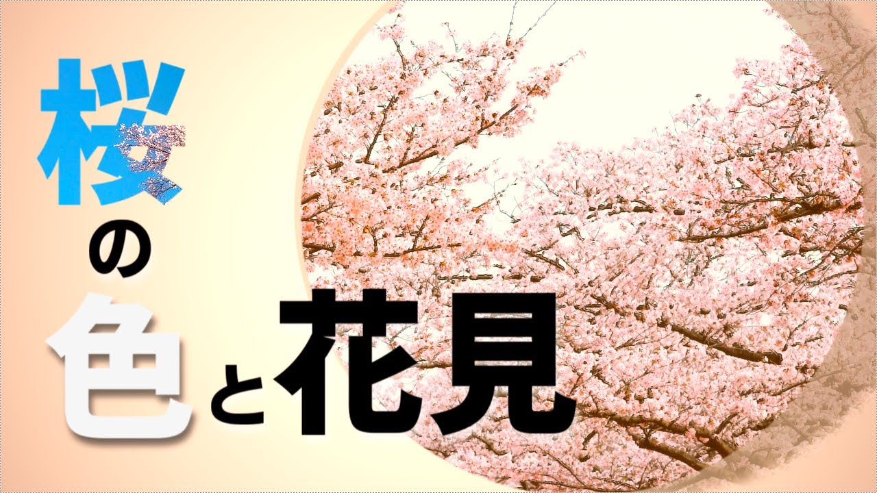 【雑学】桜の事、花見の始まり