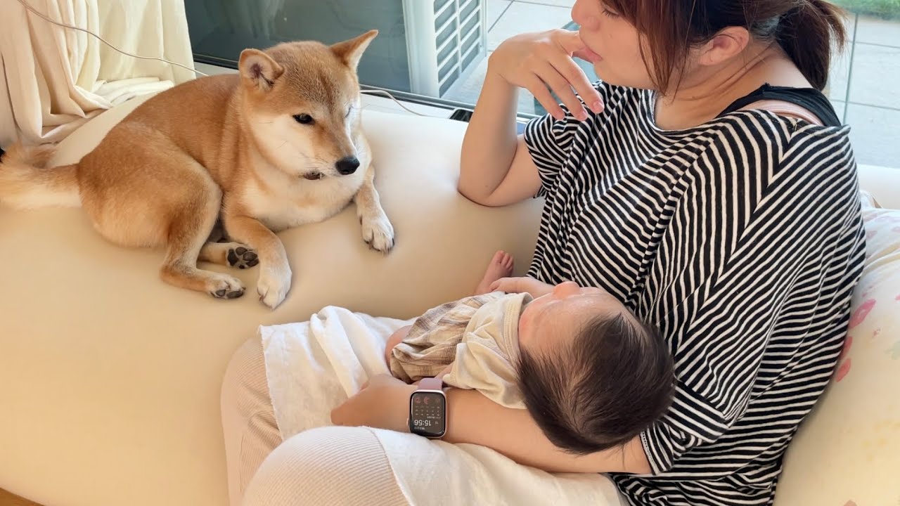 生後1ヶ月ベビーの1日。みんなに可愛がられすくすく成長中