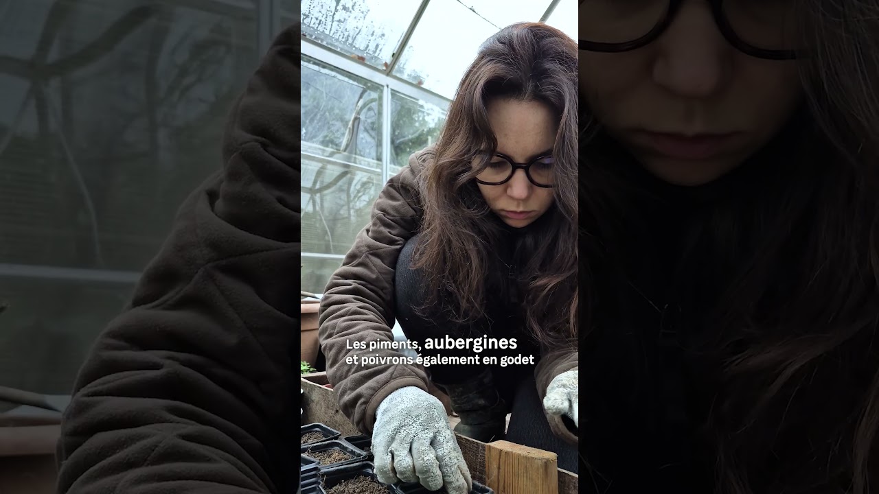 S’occuper de son jardin en hiver : 4 gestes essentiels 🌿❄️ | Leroy Merlin