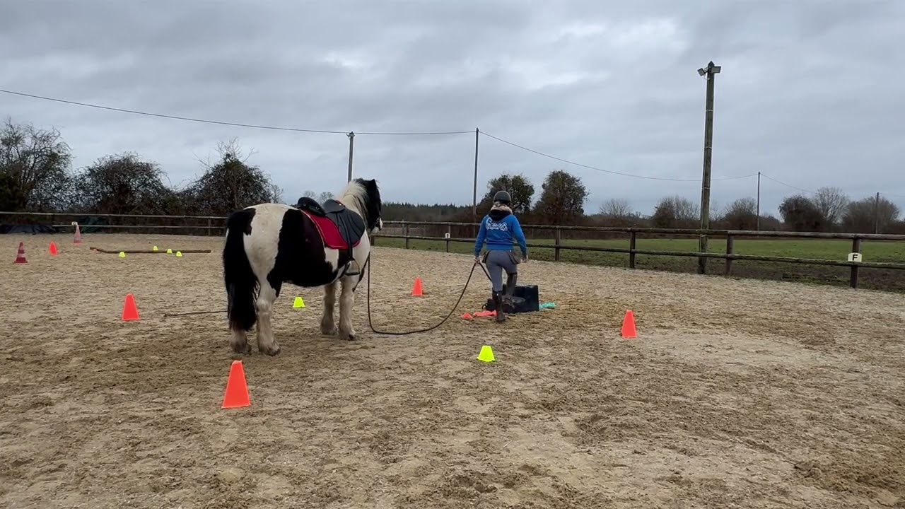Marie Anquetil et Enjoy - Equifeel virtuel Caval Go - Épreuve montée 1 