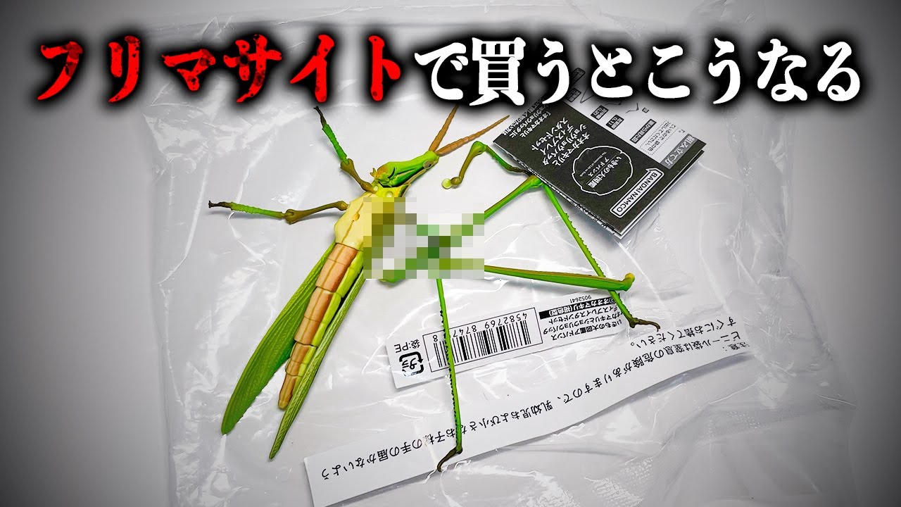 【注意】ガチャガチャを某フリマサイトで買った結果...