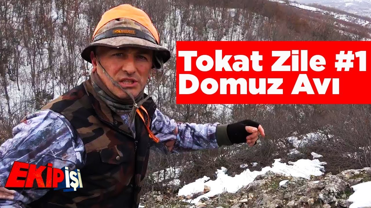 Tokat Zile Domuz Avı 1 Ekip İşi 1.Bölüm Yaban Tv Wild Boar Hunting