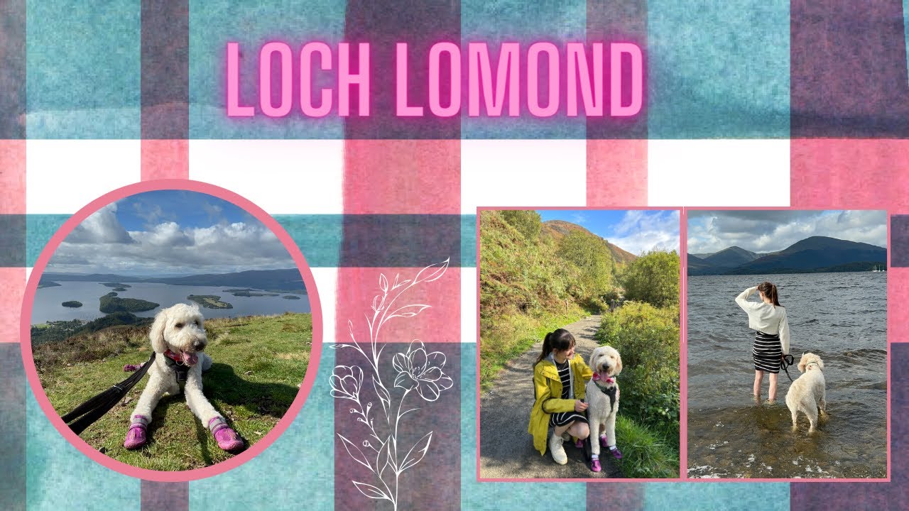 Loch Lomond - Dog Friendly Scotland Road Trip - Day 8!