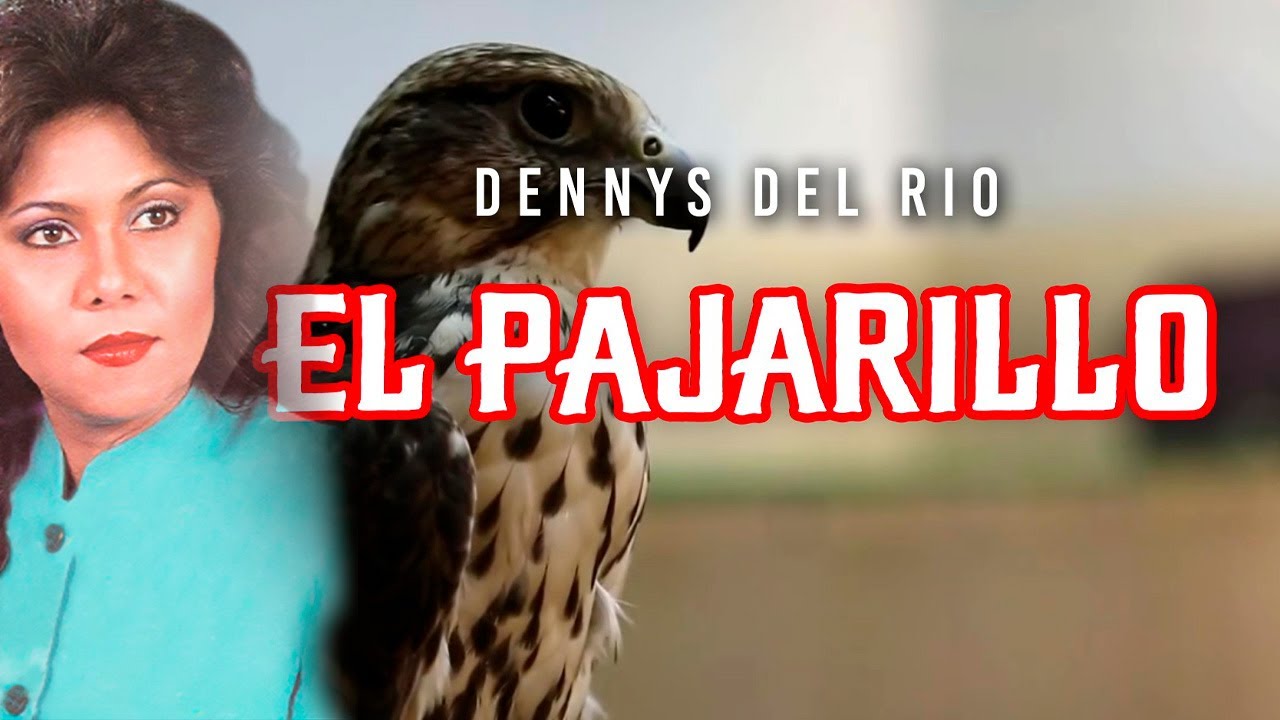 El Pajarillo - Dennys Del Rio | Video Letra | Música Llanera