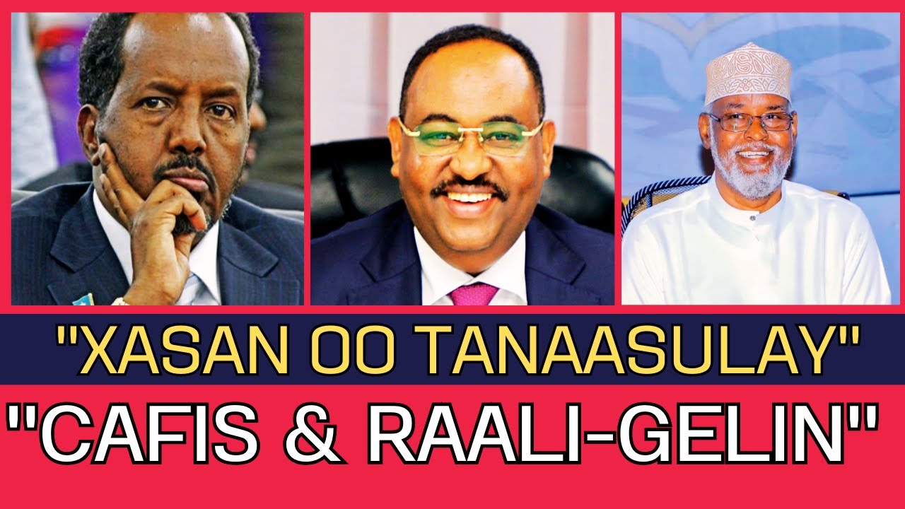 Срочная новость: Хасан Шейх приносит извинения Саиду Дени и Ахмеду Мадобе.