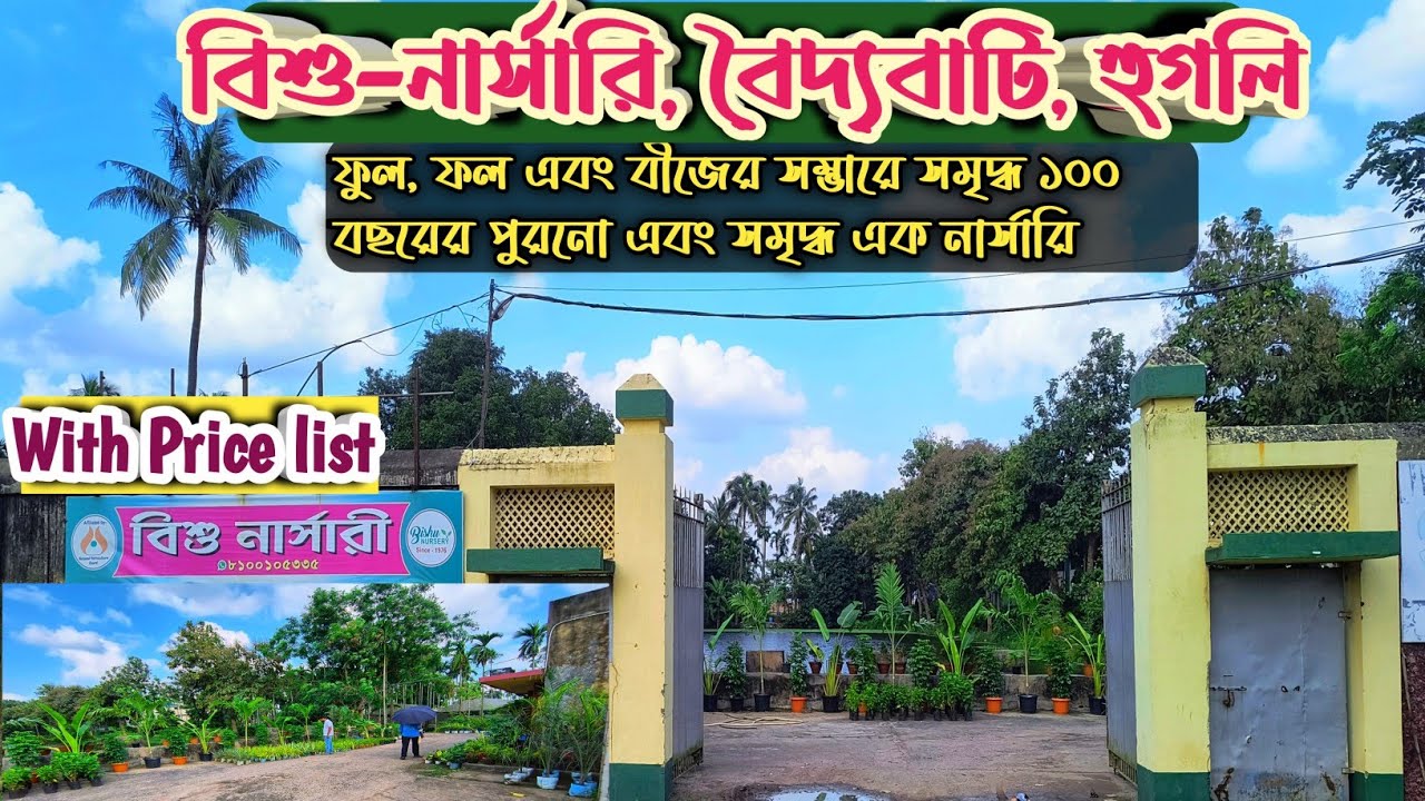 Bishu Nursery Baidyabati Hooghly, baidyabati nursery, hooghly nursery,@NATUREEXPLORER2020 