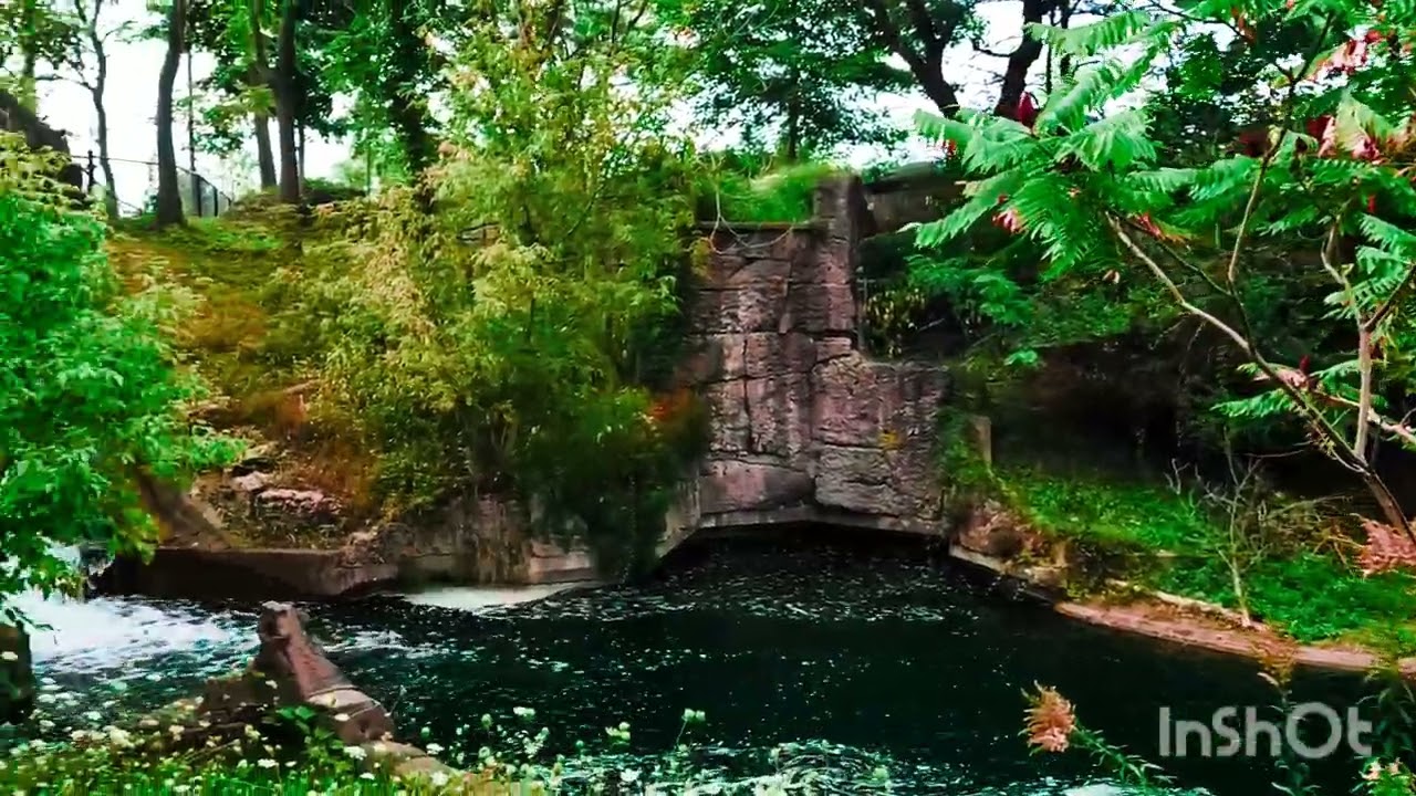 Toronto zoo # باغ وحش تورنتو # .