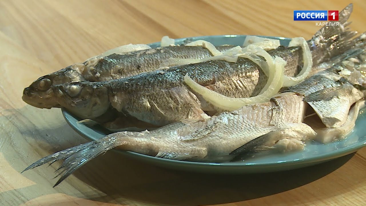 &rdquo;Kotikokki&rdquo;. &Scaron;iika maijo&scaron;&scaron;a