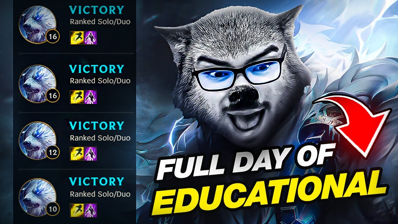 FULL DAY OF EDUCATIONAL VOLIBEAR CONTENT
