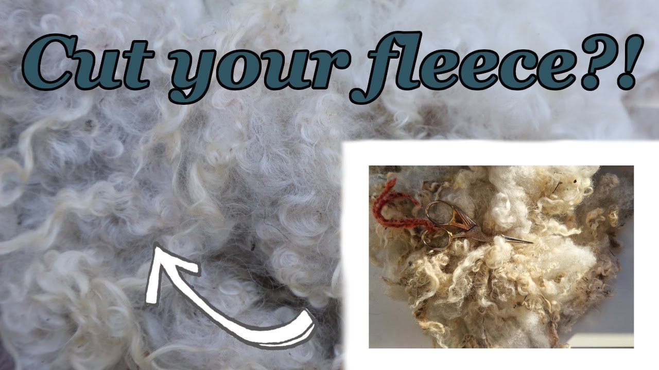 Can I save my wool? Cutting out the vegetable matter with scissors!