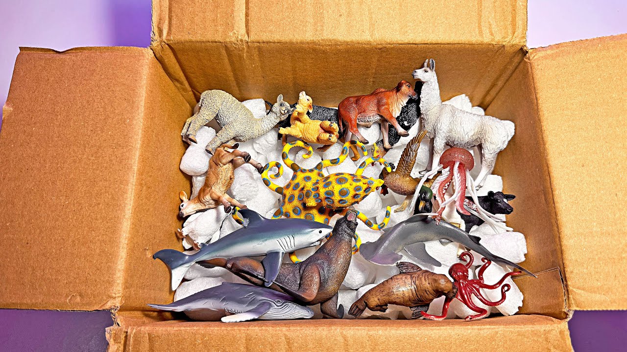 A box of new Sea Animals & Farm Animals - Shark, Sea Lion, Octopus, Jellyfish, Bonnethead Shark