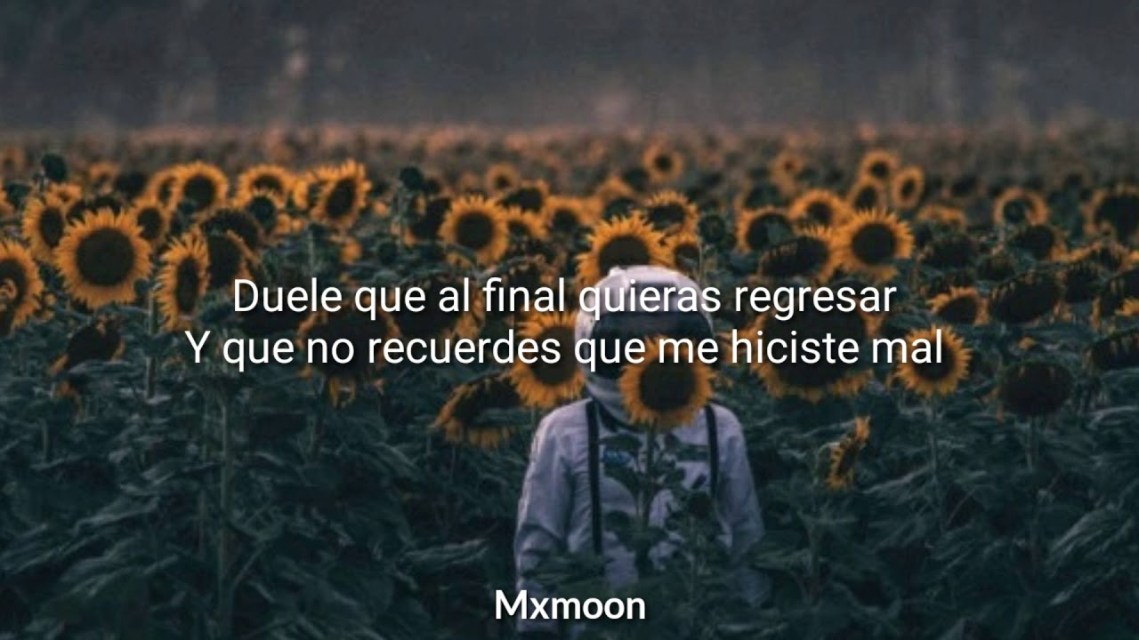 Duele amarte así - Matisse/Letra