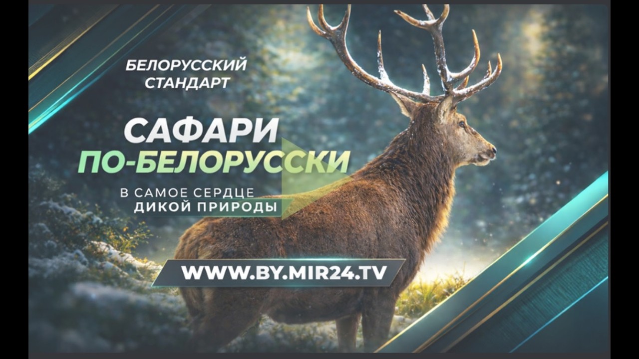 Секреты севера Беларуси: встреча с ланями, кулинарное искусство и магия ремёсел