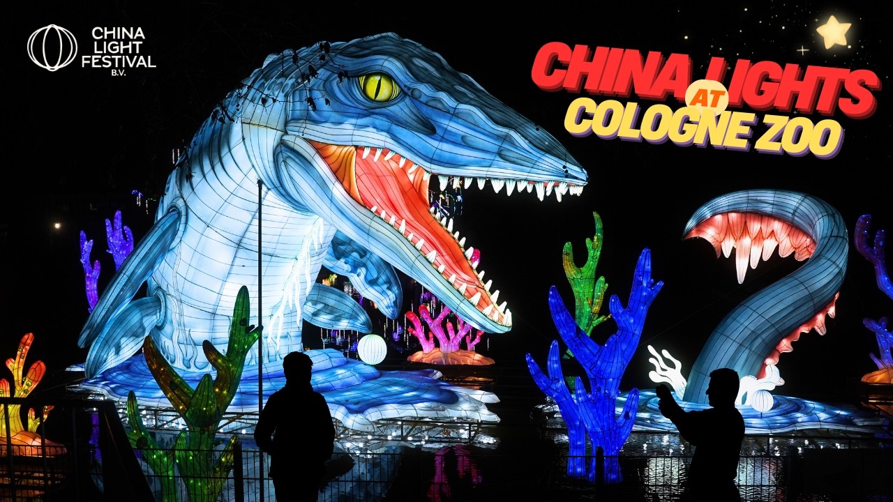 2026 China Lights at the Zoo 🌟