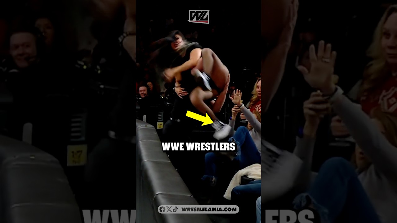 Рестлеры WWE, которые случайно сбили фаната