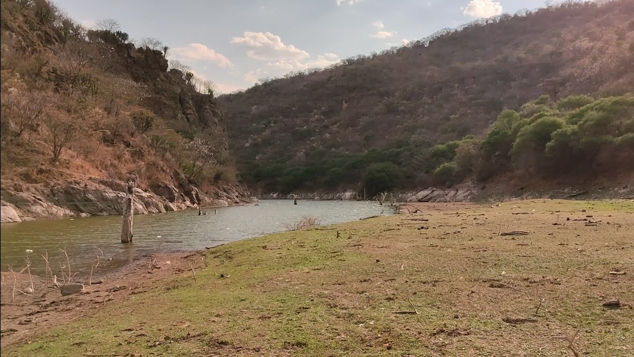 mira las tilapias de 3 kilos y los pavos salvajes que encontramos en este rio  entre  la sierra