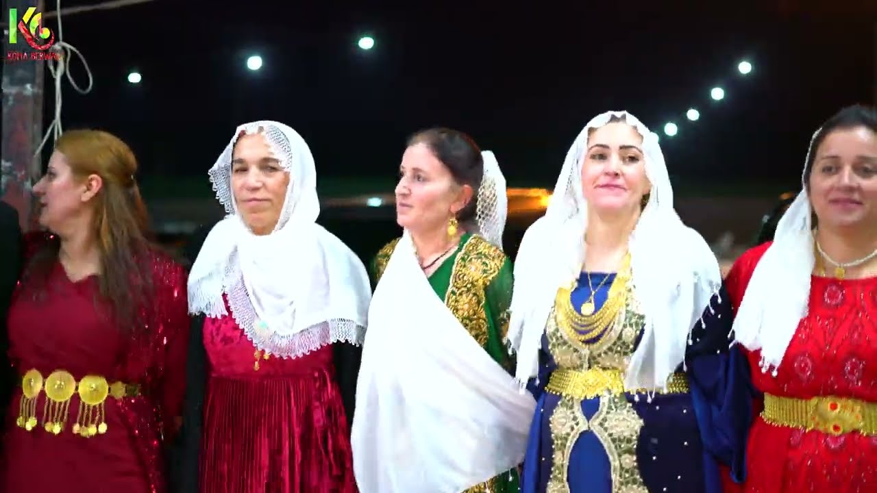 Şiyar Berwari - Silopi Zêvkî Aşireti Düğünü [ 2023 ©  ] شيار برواري