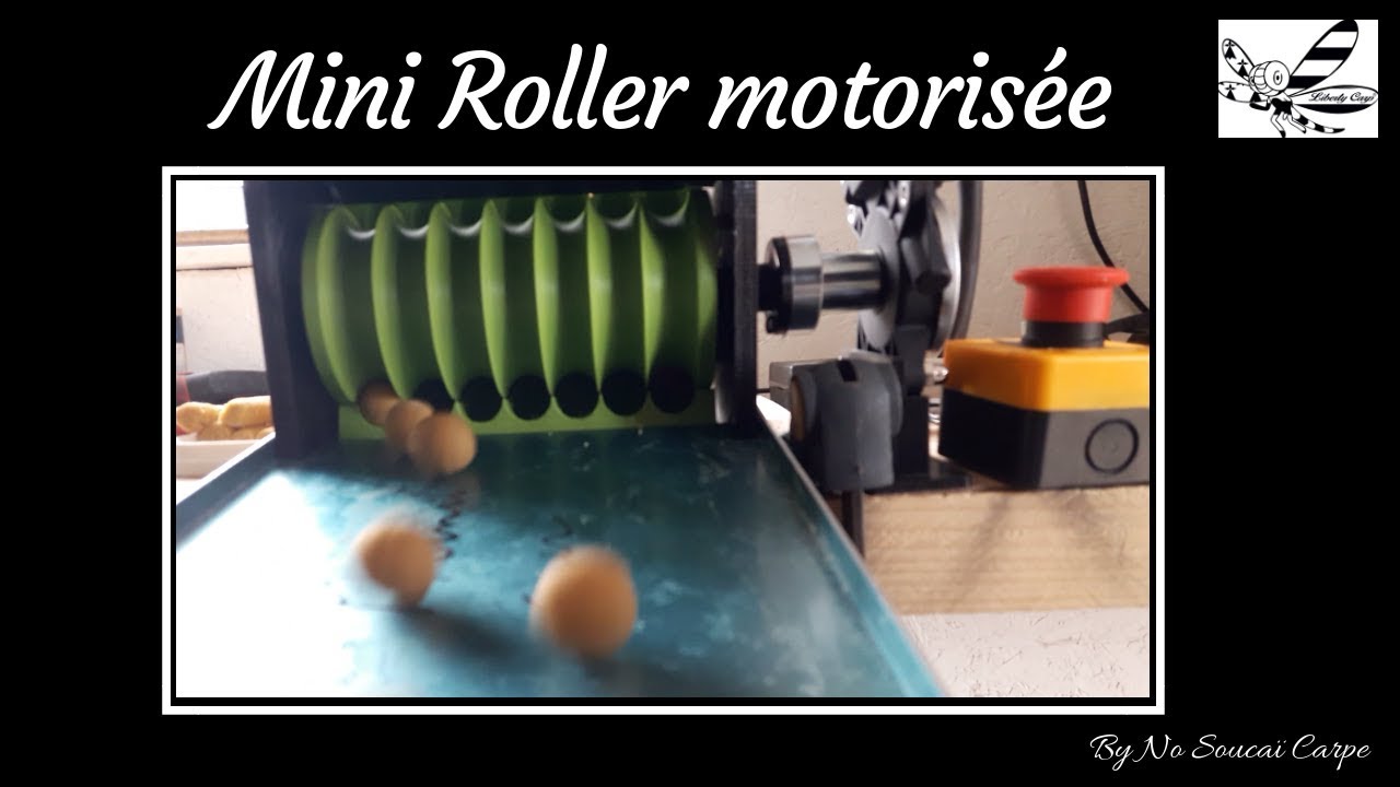 Mini Roller motorisée