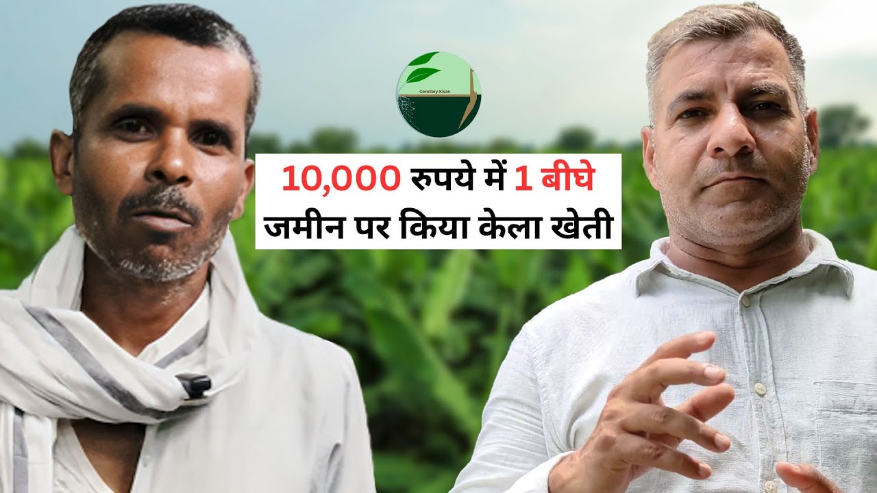 1444-Kisan karyashala: 10,000 रुपये में 1 बीघे जमीन पर CK-G9 केला खेती ,खाद, पानी, दवाई के साथ |