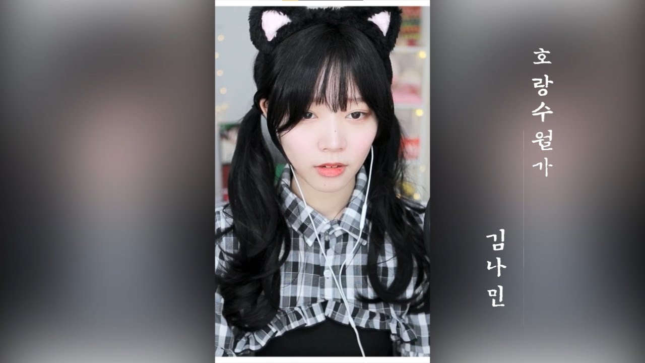 《Namin sing》상록수 ft. 나래 - 호랑수월가 【虎狼水月歌】(cover by 나민) / Mix&Edit by Arynel