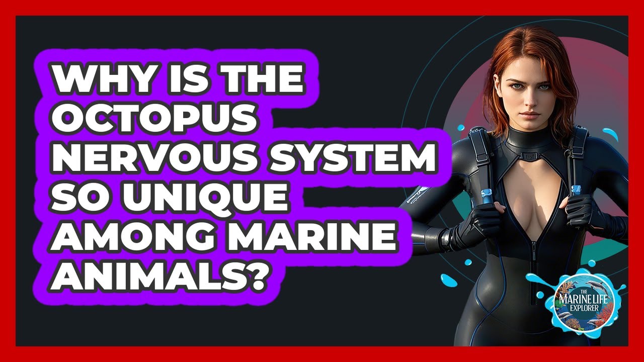 Why Is The Octopus Nervous System So Unique Among Marine Animals? - The Marine Life Explorer