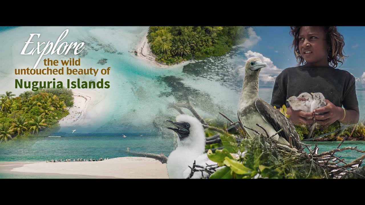 Nuguria Islands, Fead, Bougainville - Bougainville Tourism