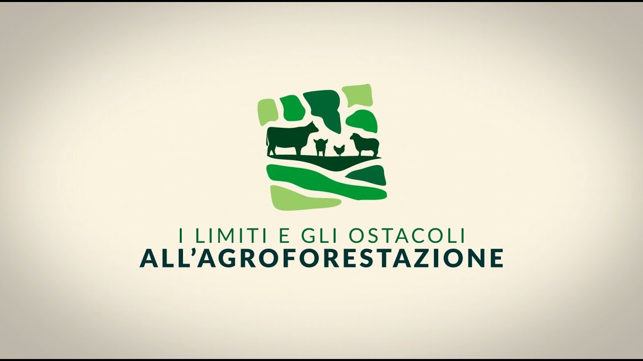 Agroforestry 7 | Limiti e ostacoli all'agroforestazione