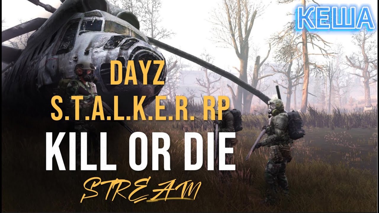 DayZ S.T.A.L.K.E.R. RP Kill Or Die ☢️ Стрим № 22