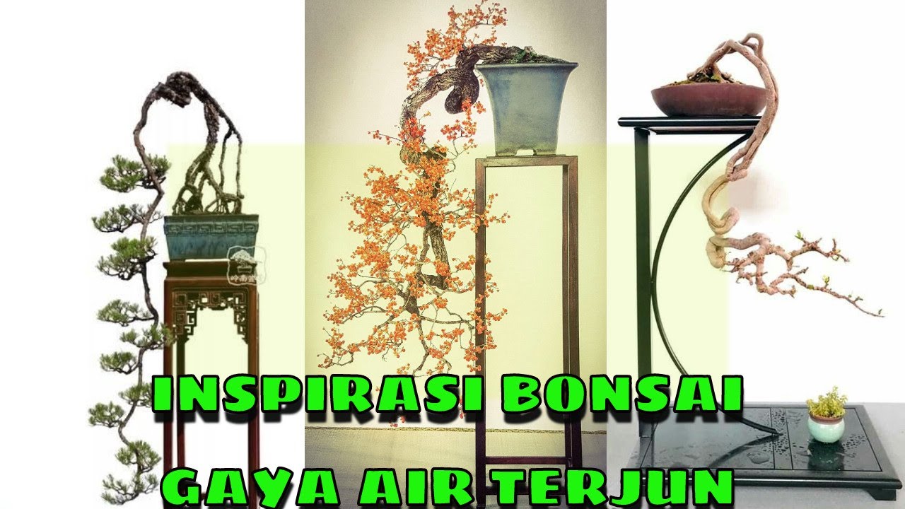 Bonsai Gaya Air Terjun Terbaik, Sangat Menginspirasi