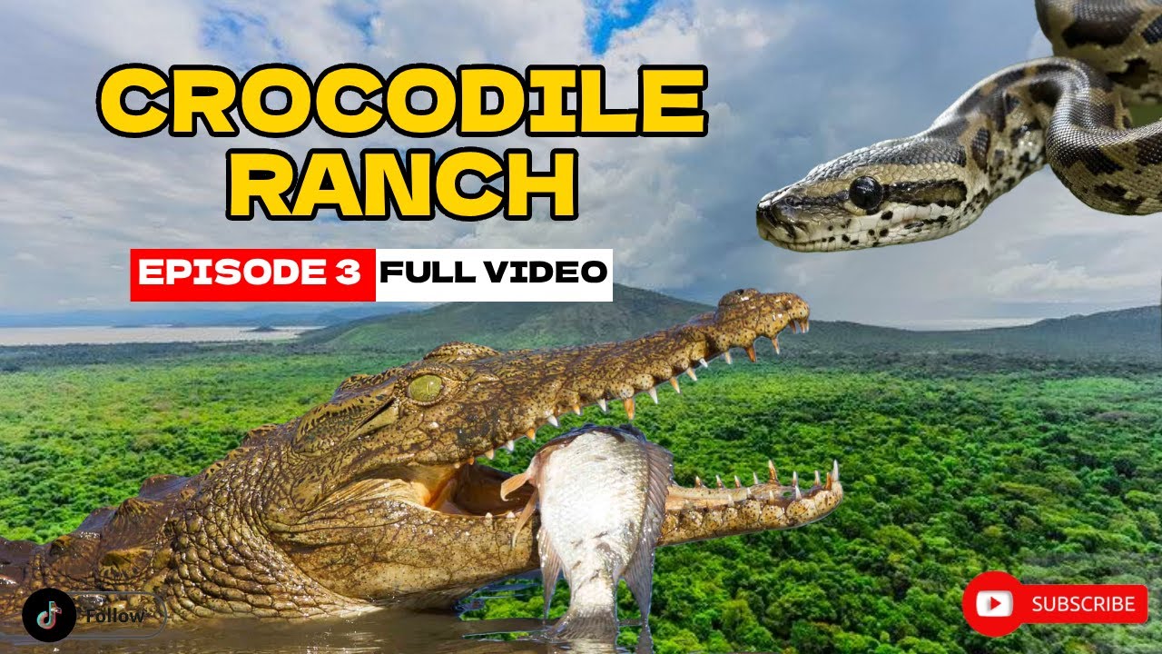 Giant Crocodiles & Rock Pythons in Arba Minch 🐊🐍 | የአርባ ምንጭ አዞ ራንች ሙሉ ቅኝት | Episode 3 Full Video