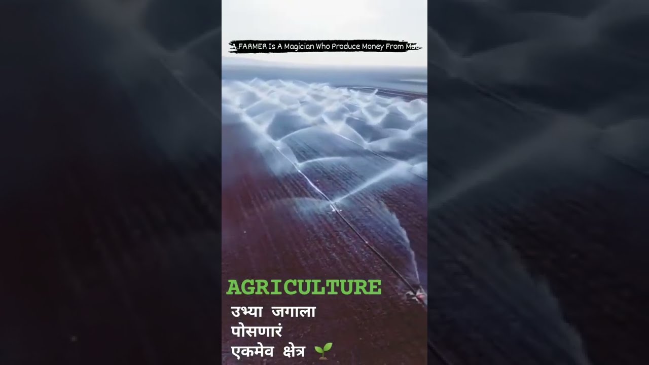 amazing Sprinkler irrigation system