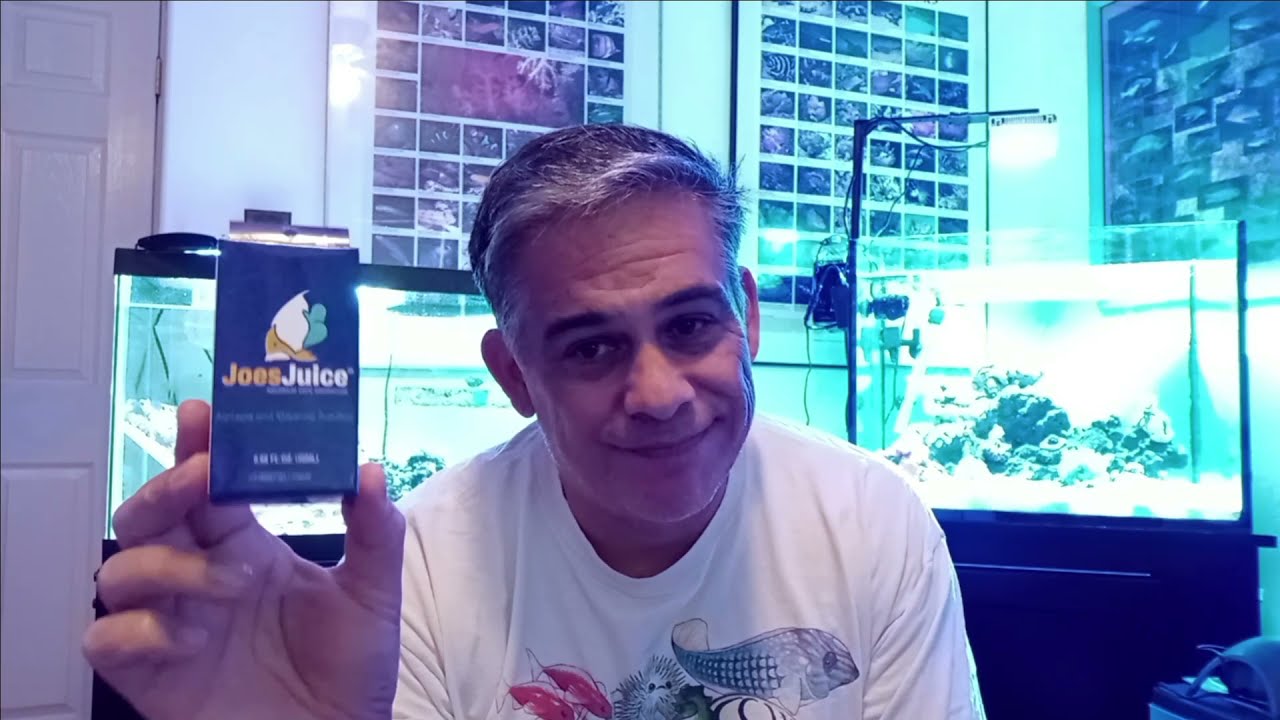 Joes Juice Aiptasia and Majano anemone killer versus Red Sea Aiptasia-X product review