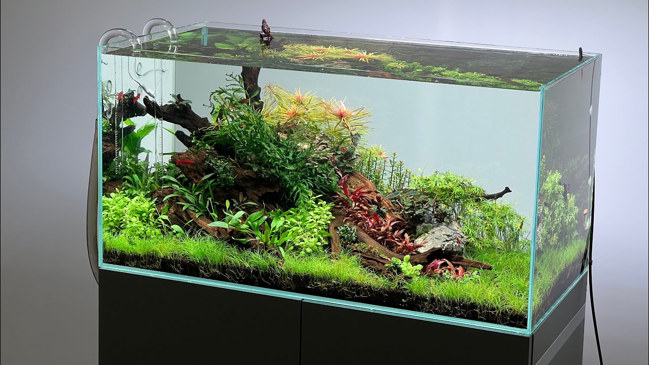 EVOLVING A HIGH TECH AQUASCAPE -  STEP BY STEP TUTORIAL