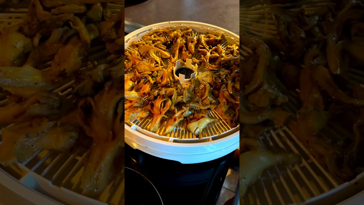 Delicious Mushroom Jerky (Hen of the Woods) 😋 #shorts