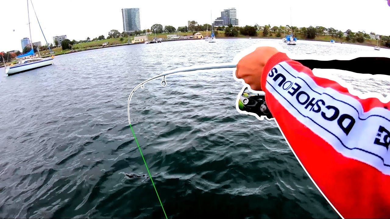 On the Hunt for BIG Flathead!