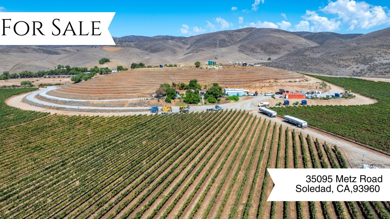 Dover Vineyard | 217± Acres in Monterey AVA | Premium Vineyard Investment Opportunity