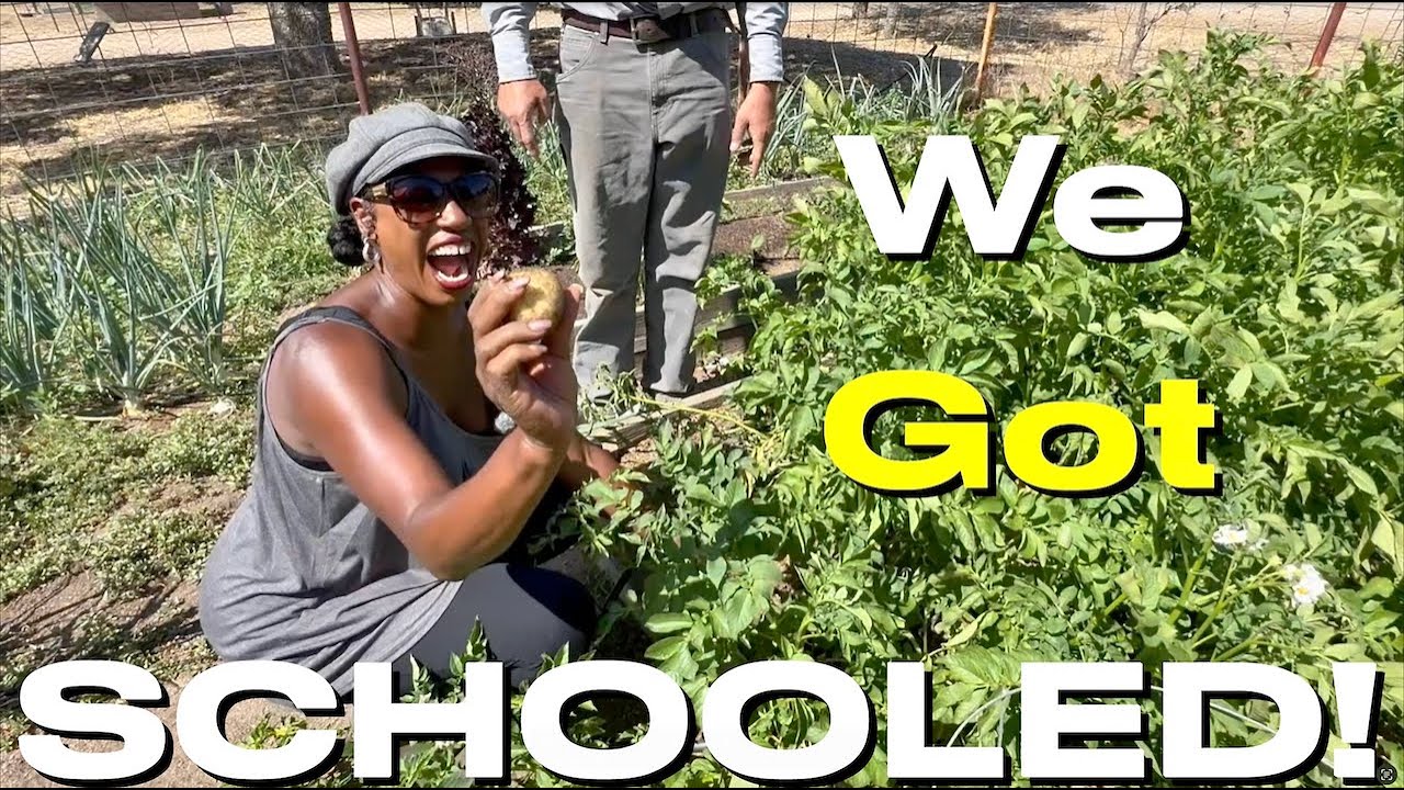 🫜What A REAL GARDEN Looks Like👩🏽‍🌾 Piute Life HOMESTEAD#offgrid #homestead #tinyhouse #garden