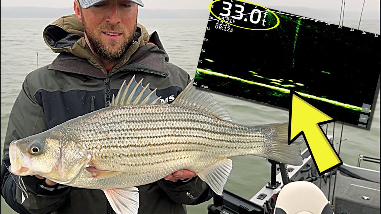 РАЗДАВЛИВАНИЕ дворников ранней весной на Livescope в ГЛУБОКОЙ воде!!