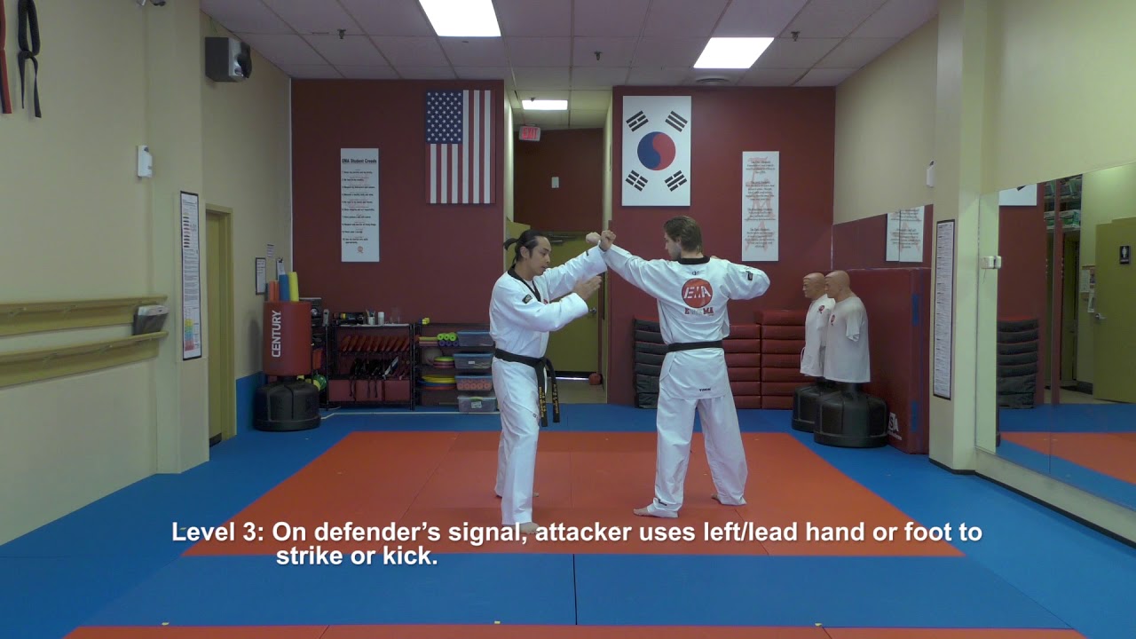 How to Practice Taekwondo Self-Defense Techniques. Part 2.