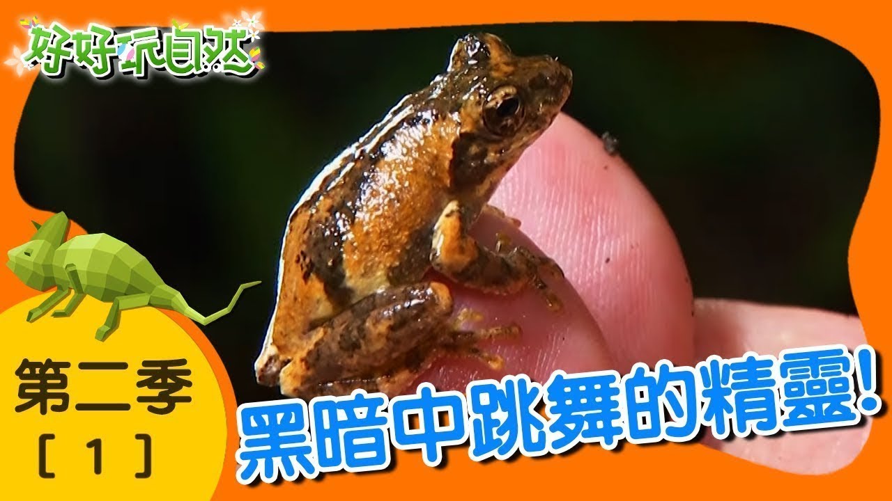 【好好玩自然】黑暗中跳舞的精靈！枯葉蝶 黑翅螢｜第1集_第二季｜惠蓀林場｜柳丁哥哥 熱血阿傑｜生態探索｜YOYO