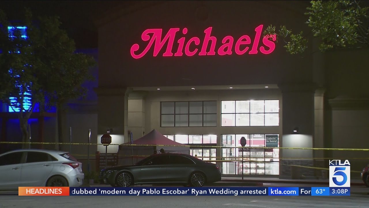 Man killed by deputies at San Fernando Valley shopping plaza