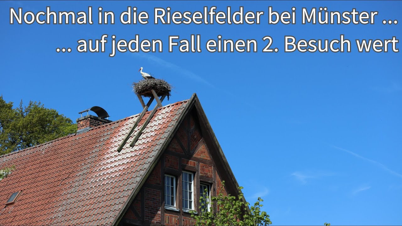 Nochmal in die Rieselfelder bei Münster - auf jeden Fall einen 2. Besuch wert