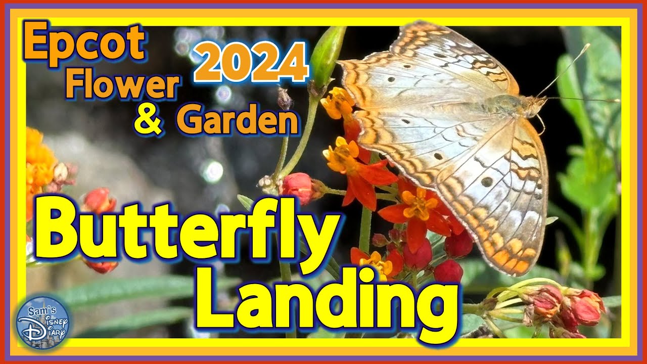 Epcot Flower and Garden Festival 2024: Explore Butterfly Landing & Garden