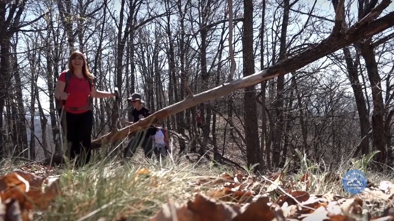 ČAROBNA planina ORAVICA | SA VANJOM U PLANINE Ep.09