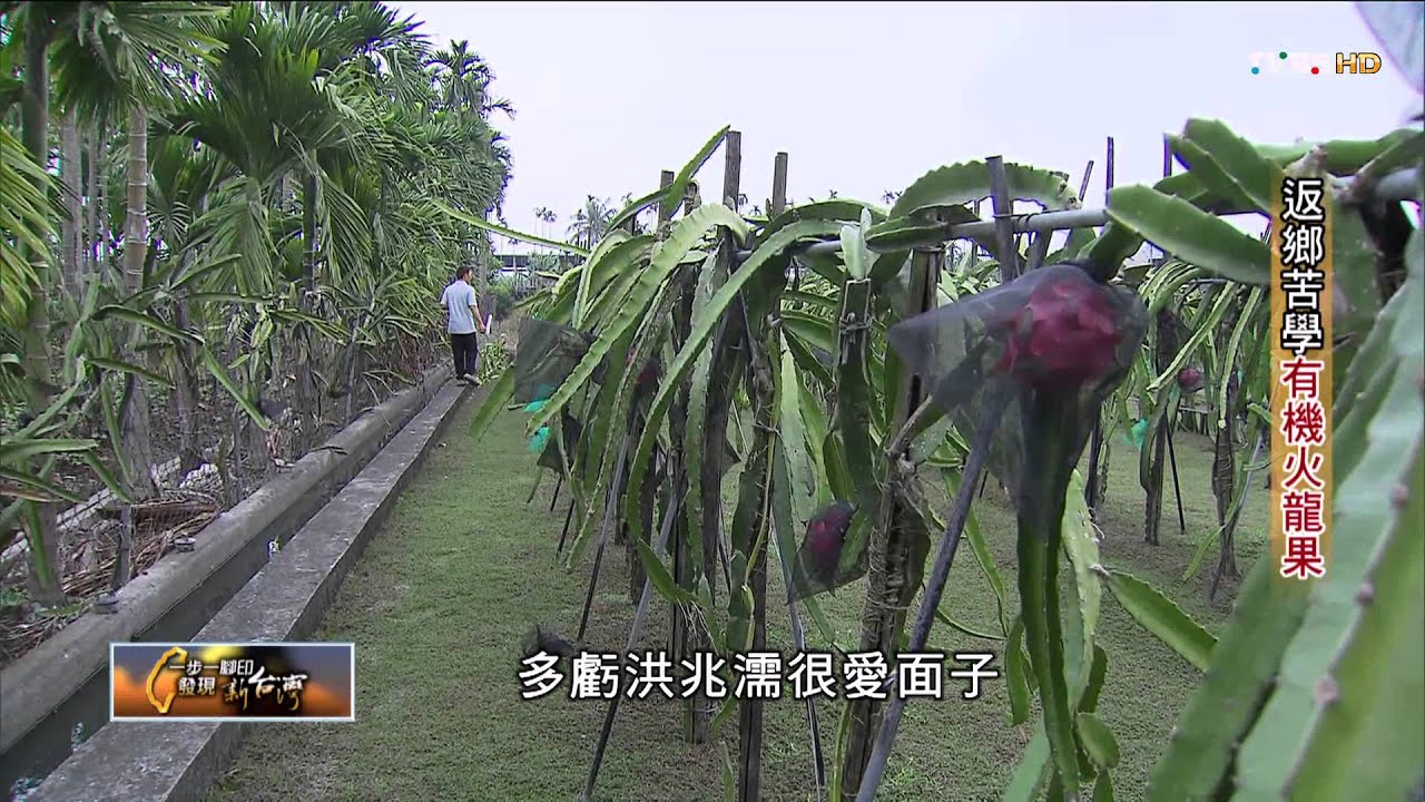 一步一腳印_20141123_402_1(TVBS DMDD)