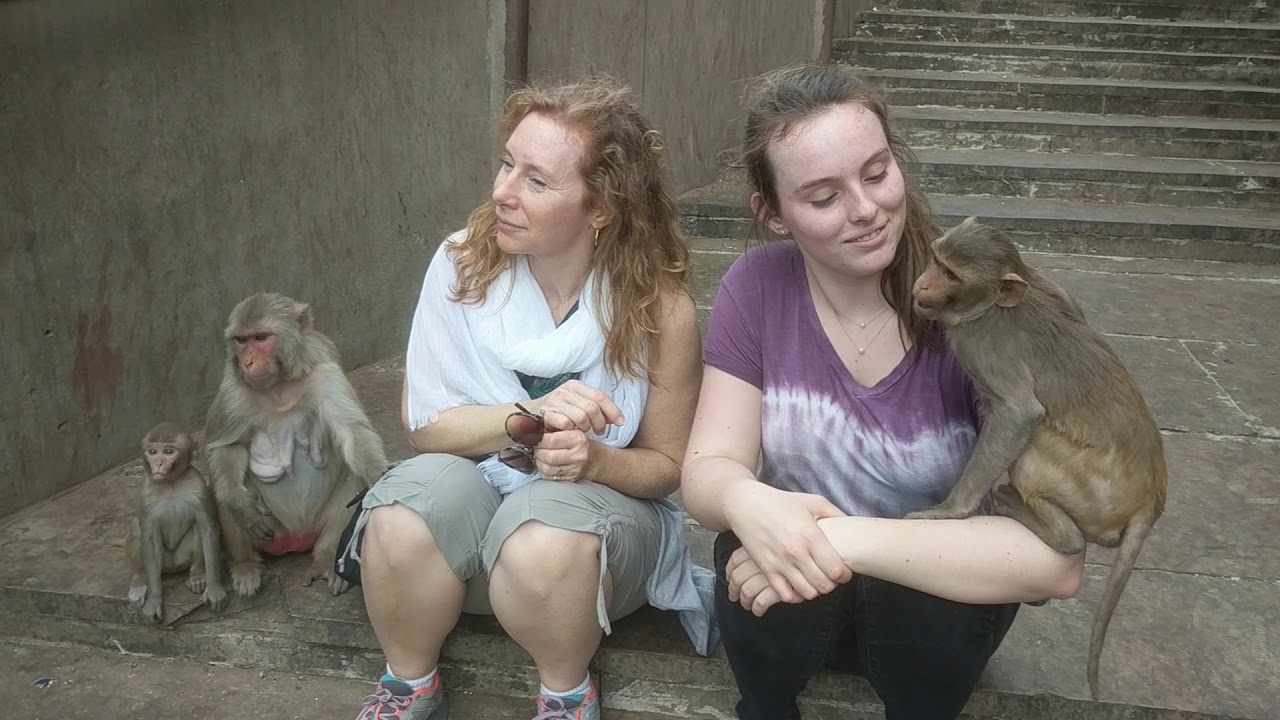 Amazing trip to India: Jaipur, Agra, the Taj Mahal and Mom almost getting attacked by monkey