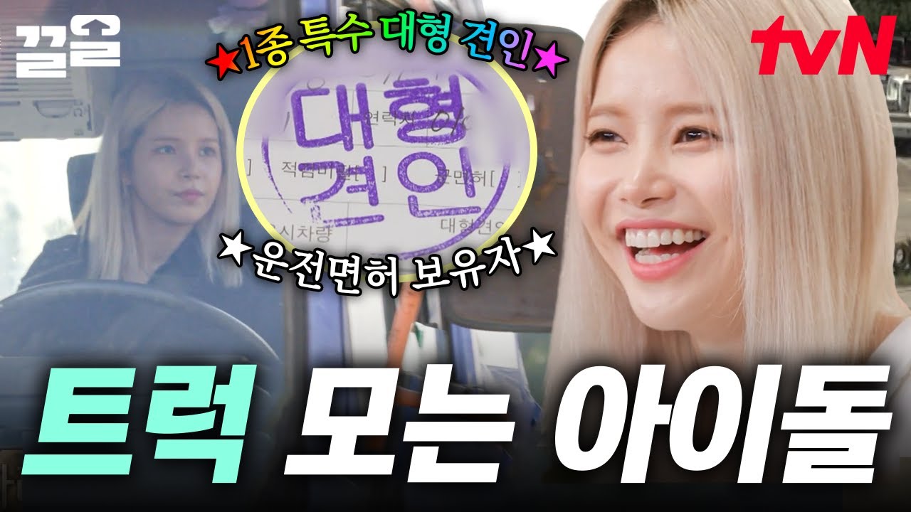 대형 면허 있는 아이돌 어떤데?🚛 마마무 솔라의 대형 트레일러 면허 시험 도전기‼️ | 온앤오프