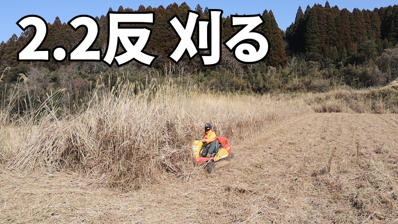 小春日和に気分爽快！HeyMasaoでホコリまみれになる